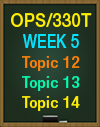 OPS/330T WEEK 5 TOPIC 12, TOPIC 13, TOPIC 14 QUICK CHECK